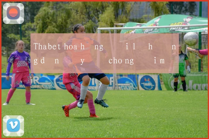 Thabet hoa hồng đại lý hướng dẫn đầy đủ cho người mới